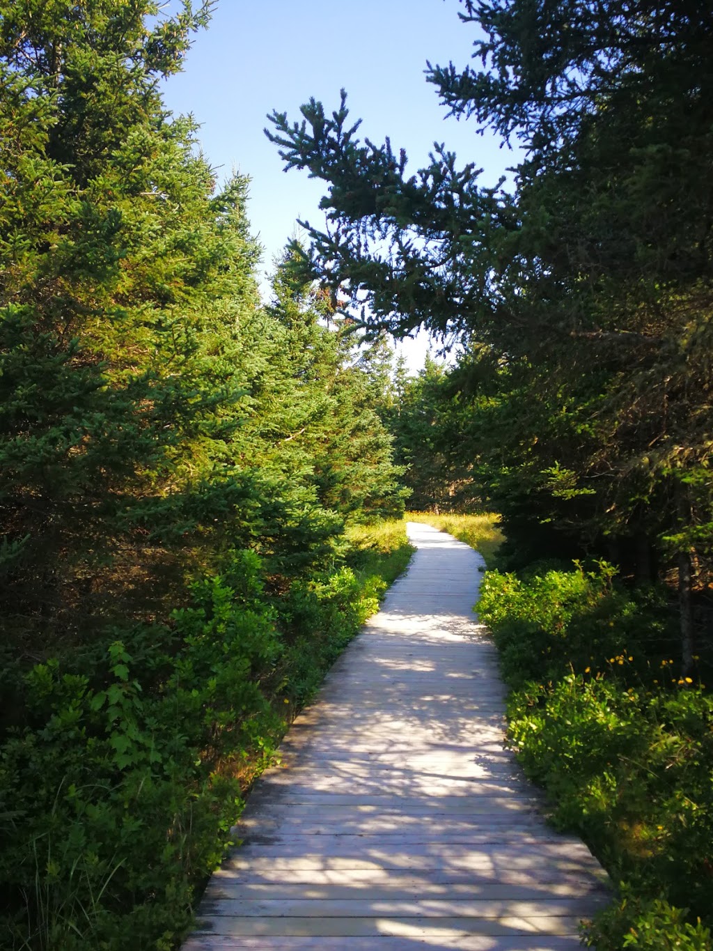 Rissers Beach Provincial Park | 5366 Highway 331, Petite Rivière Bridge, NS B4V 6P2, Canada | Phone: (902) 688-2034
