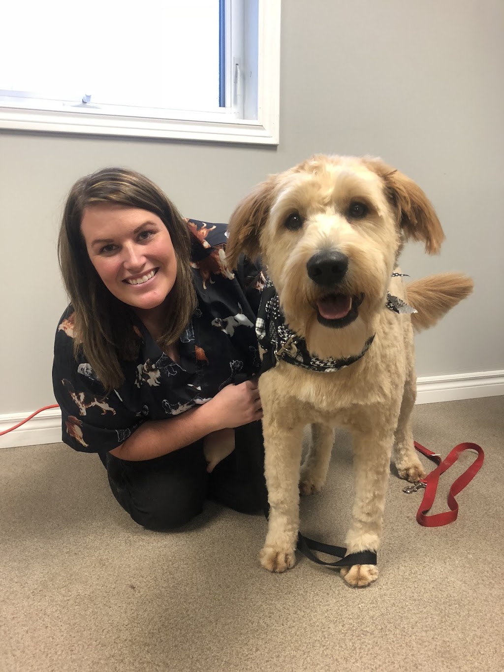 CJs Styln Paws Pet Grooming | 130 Kincardine Hwy Unit 3, Walkerton, ON N0G 2V0, Canada | Phone: (226) 257-8225