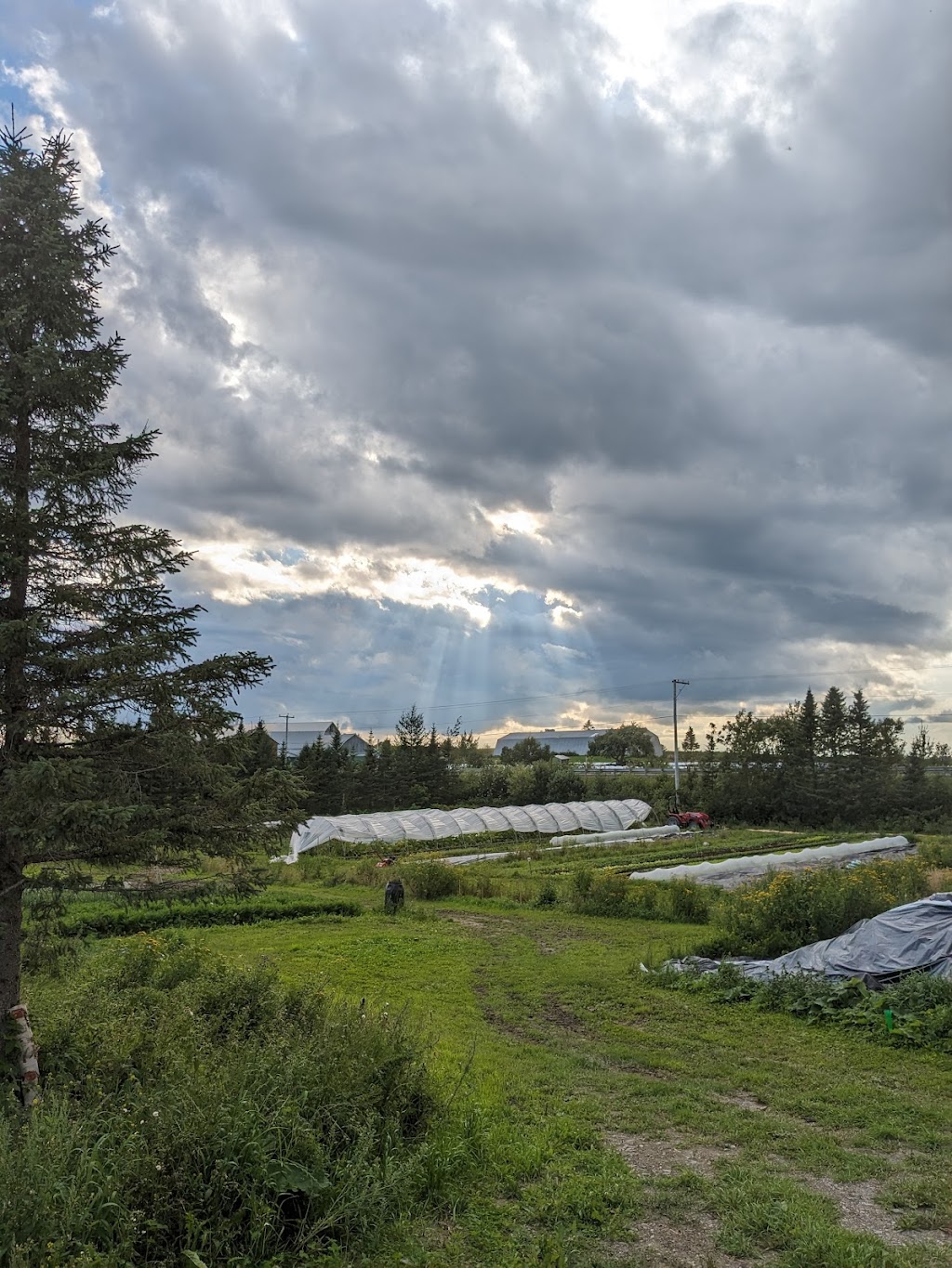 Au Gré du Sol | 126 Chem. Taché O, Saint-Cyprien, QC G0L 2P0, Canada | Phone: (819) 690-0819