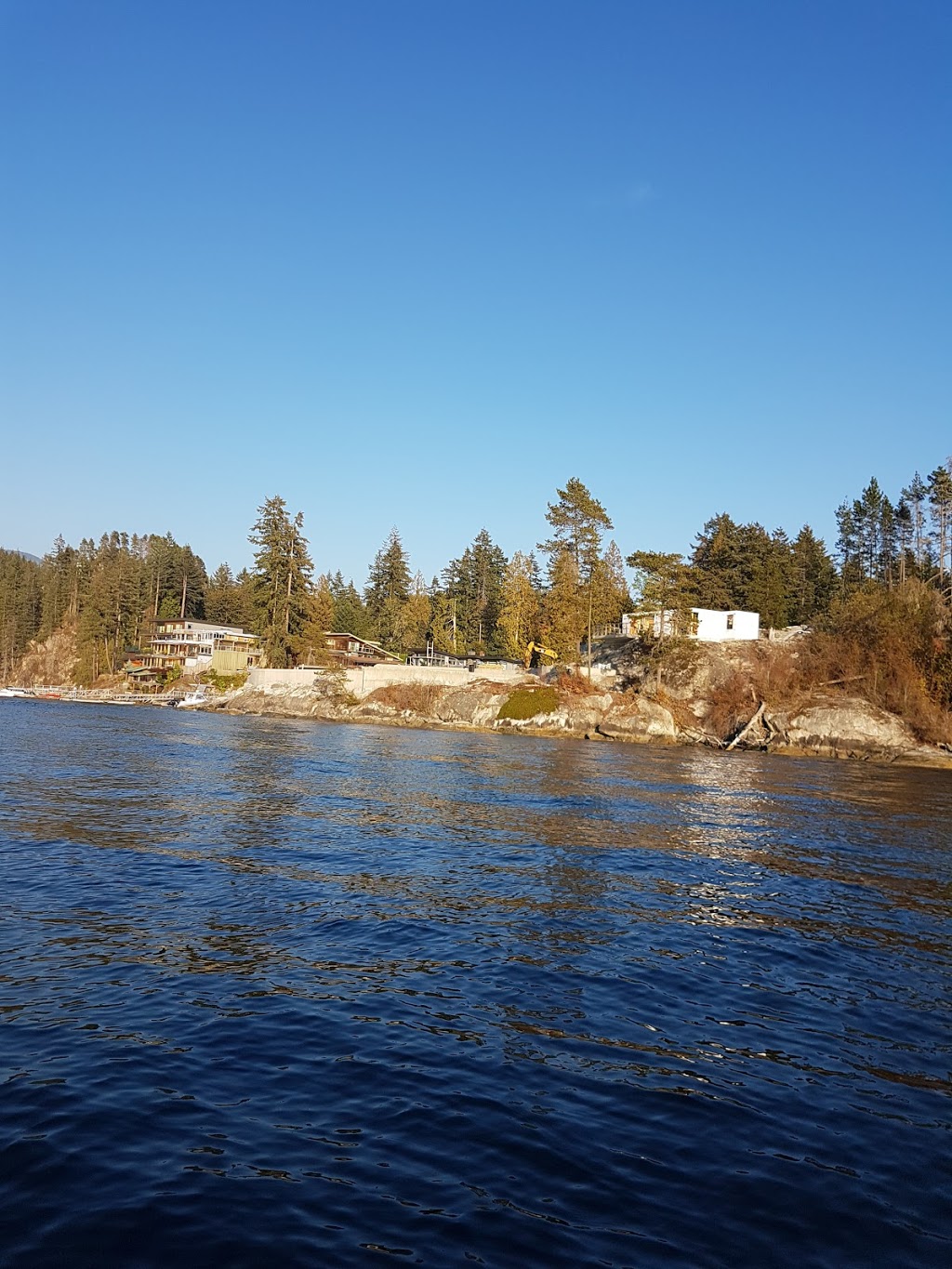 Oakwood Consulting Inc | 237 Turtlehead Rd, Belcarra, BC V3H 4P3, Canada | Phone: (604) 936-5161