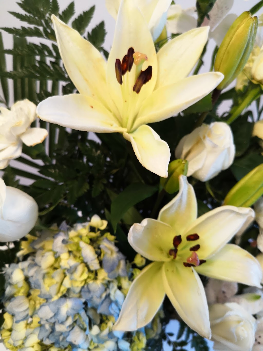 Bloomex Flowers Vancouver | 108, 366 East Kent Ave S, Vancouver, BC V5X 4N6, Canada | Phone: (888) 912-5666