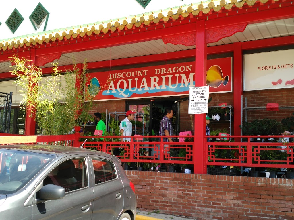 Discount Dragon Aquarium | 888 Dundas St E, Mississauga, ON L4Y 4G6, Canada | Phone: (905) 306-7127