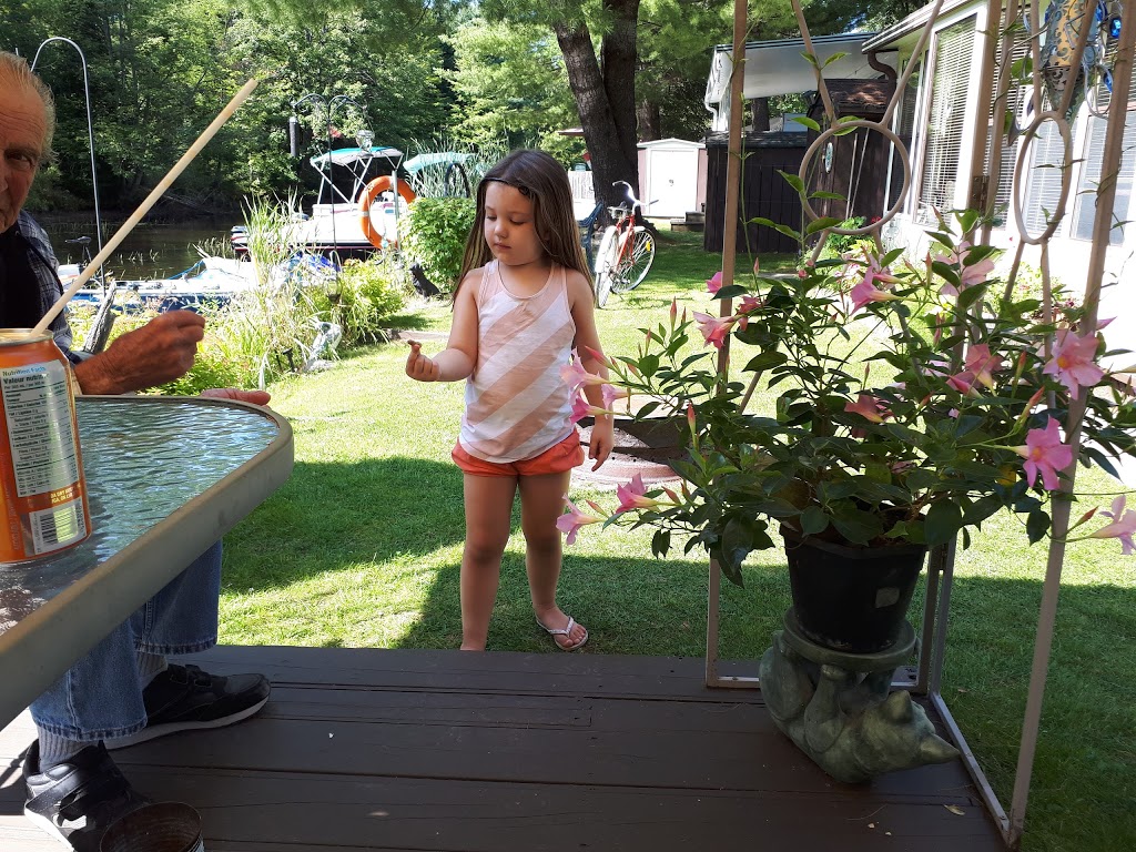 Jacks Lake Trailer Park- Seasonal Camping only | 253 Shady Ln, Apsley, ON K0L 1B0, Canada | Phone: (705) 930-7812