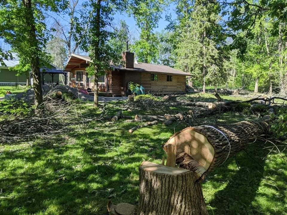 The Healthy Tree - Tree Removal | 514 John St, Dunnville, ON N1A 2R4, Canada | Phone: (905) 220-9170