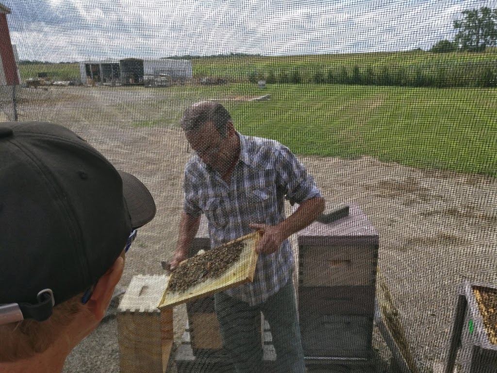 Oxford Honey And Supplies | 384954 Salford Rd, Burgessville, ON N0J 1C0, Canada | Phone: (519) 550-1096