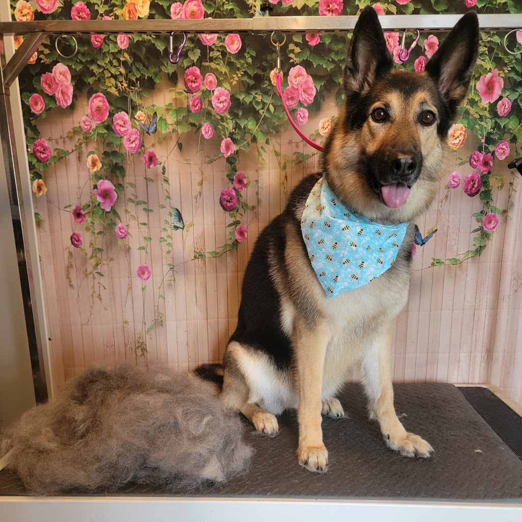 The Barkside Dog Grooming Boutique | point of interest | 1581 Ridge Rd N, Ridgeway, ON L0S 1N0, Canada | 9059930371 OR +1 905-993-0371