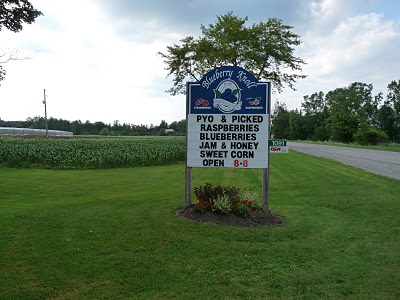 Blueberry Knoll Berry Farm | 1091 Hutchinson Rd, Lowbanks, ON N0A 1K0, Canada | Phone: (905) 774-7732