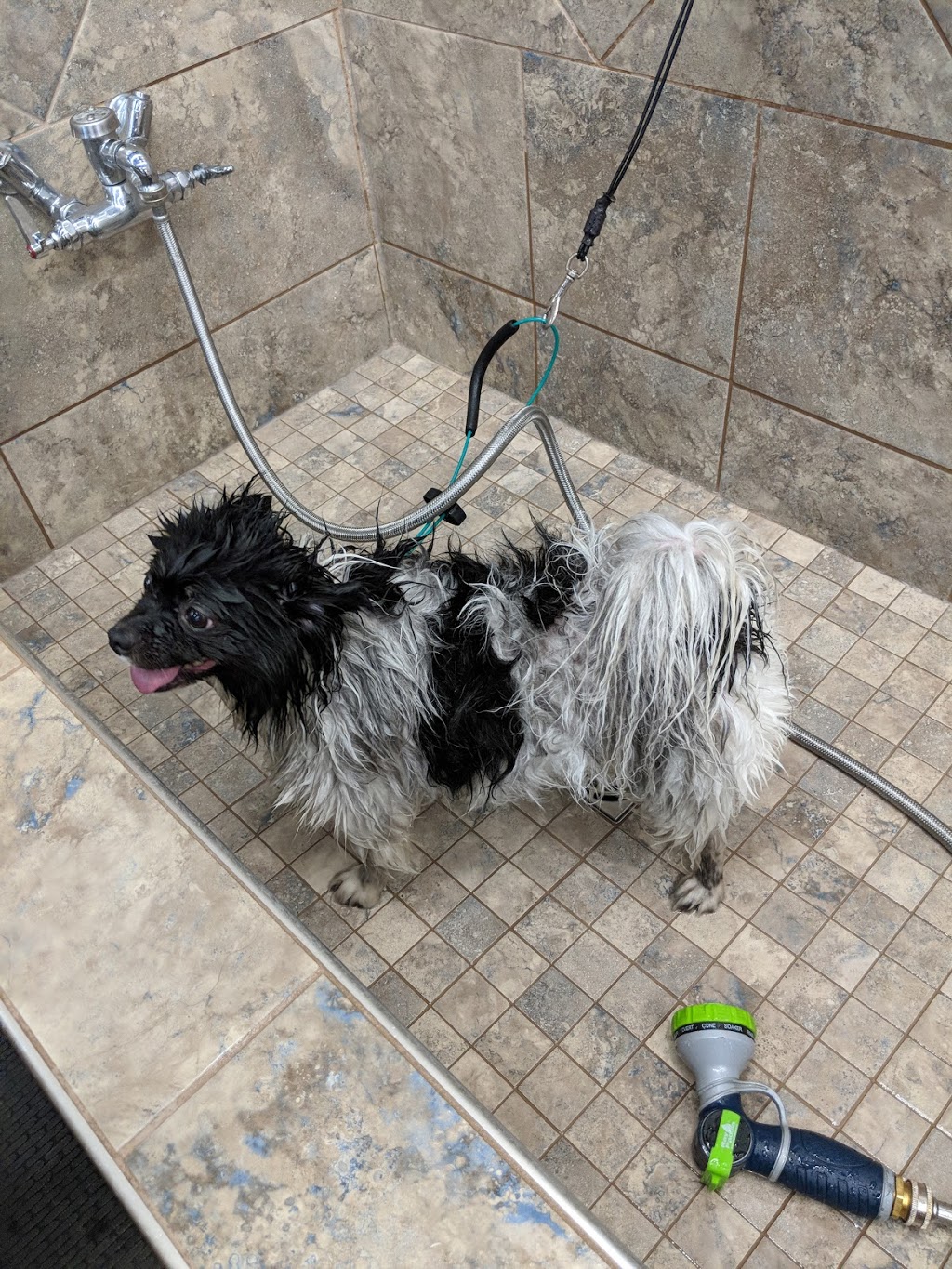 Pet Valu | 1750 Plessis Rd #301, Winnipeg, MB R3W 0H5, Canada | Phone: (204) 777-7387