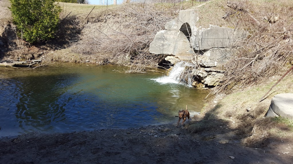 Harmony Valley Conservation Area | 915 Grandview St N, Oshawa, ON L1K 2E3, Canada | Phone: (905) 436-3311