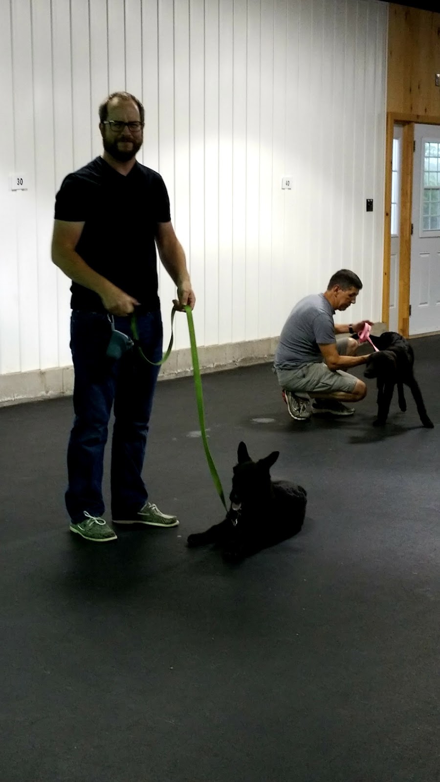 Dog Ranch Inc | 6361 Fourth Line Rd, North Gower, ON K0A 2T0, Canada | Phone: (613) 297-9871