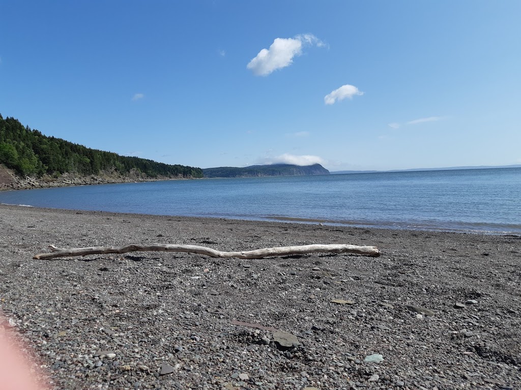 Kayak Fundy | FreshAir Adventure | 16 Fundy View Dr, Alma, NB E4H 1H6, Canada | Phone: (506) 887-2249