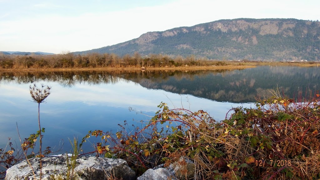 Cowichan Estuary trail | Unnamed Road, Duncan, BC V9L 5L5, Canada