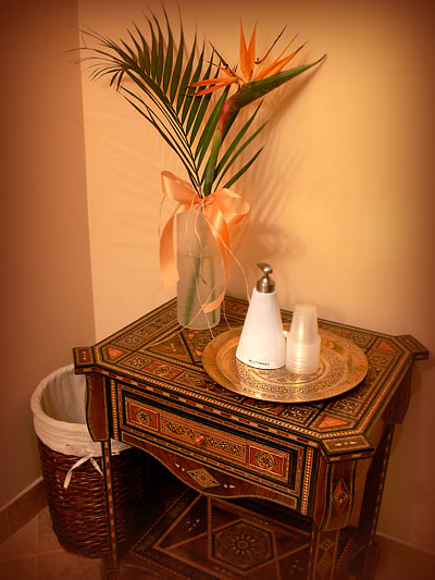 Spa Space | 4510-B Chatterton Way, Victoria, BC V8X 5H8, Canada | Phone: (250) 479-3432