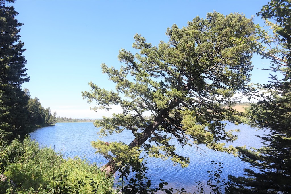 Beauvais Lake Provincial Park | Pincher Creek, AB T0K 1W0, Canada | Phone: (403) 627-1165