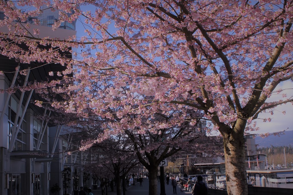 Best Vancouver Tours | 3-512 Sharpe St, New Westminster, BC V3M 4R2, Canada | Phone: (604) 229-1626