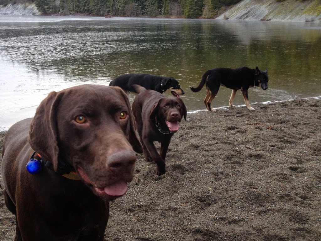 Whistlers Fun For Dogs | point of interest | 91 Garibaldi Dr, Whistler, BC V0N 1B1, Canada | 6049059344 OR +1 604-905-9344