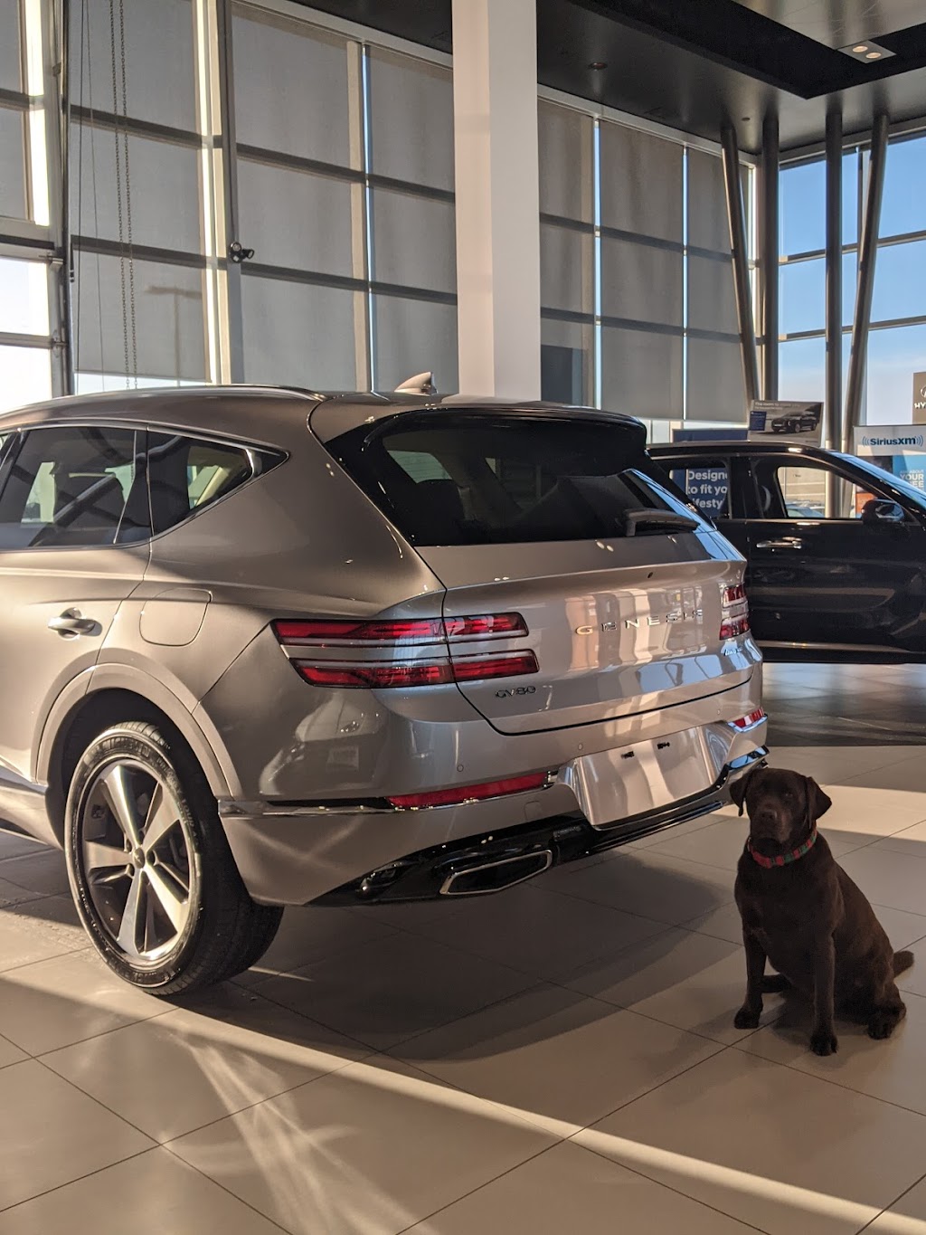 Genesis Winnipeg | 1700 Waverley St D, Winnipeg, MB R3T 5V7, Canada | Phone: (888) 999-6746