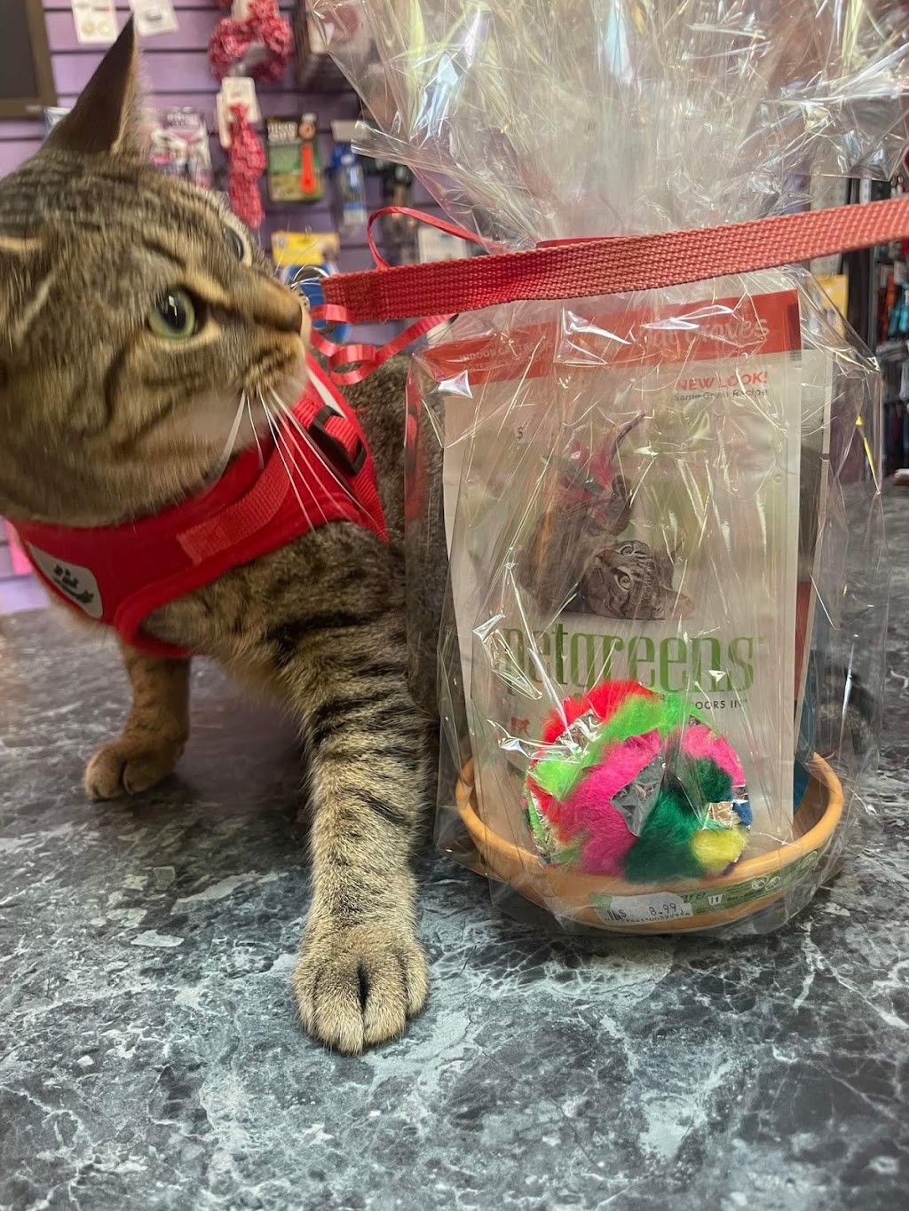 The Pet Store Shediac | 620 Main St, Shediac, NB E4P 2H3, Canada | Phone: (506) 351-8000