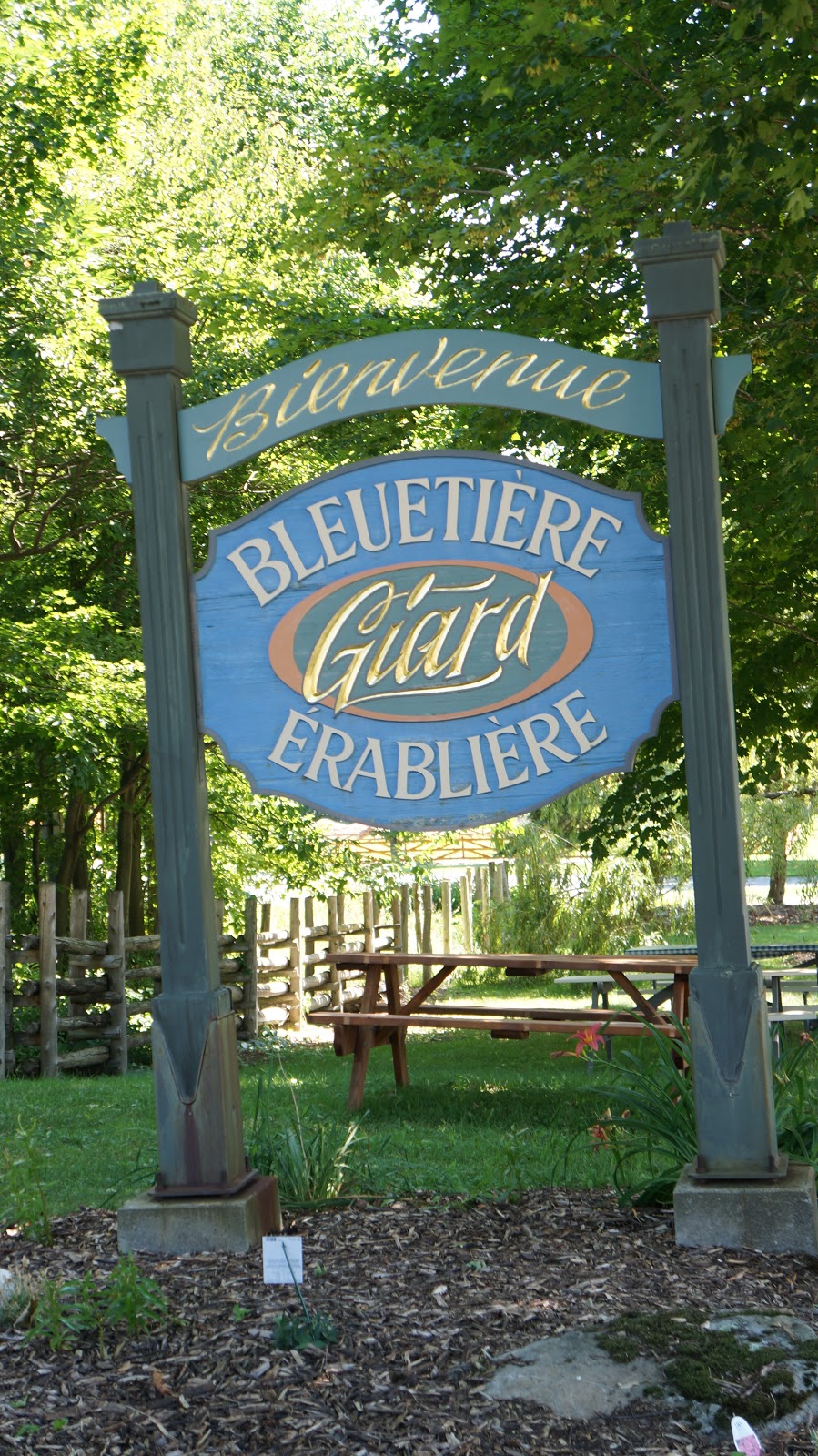 Bleuetiere Giard | 15 Chemin Giard, Granby, QC J2H 0T1, Canada | Phone: (450) 372-6320