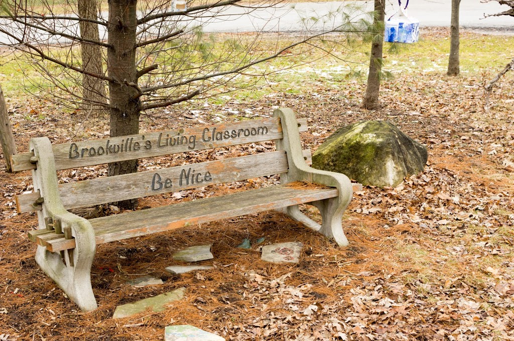 Brookville Public School | 11325 Guelph Line, Campbellville, ON L0P 1B0, Canada | Phone: (905) 854-2424