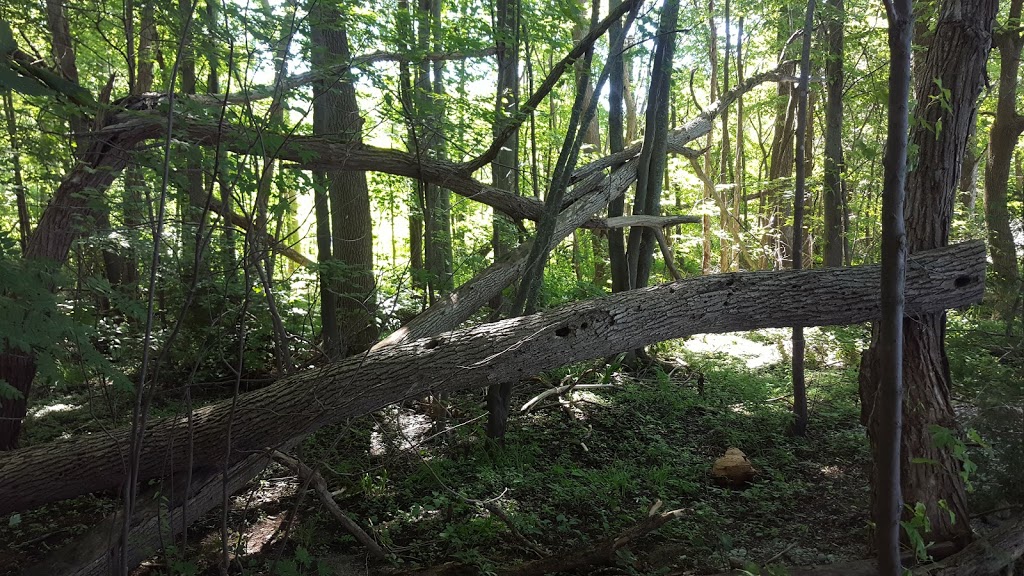 McRae Point Provincial Park | 4366 McRae Park Rd, Longford Mills, ON L0K 1L0, Canada | Phone: (705) 325-7290