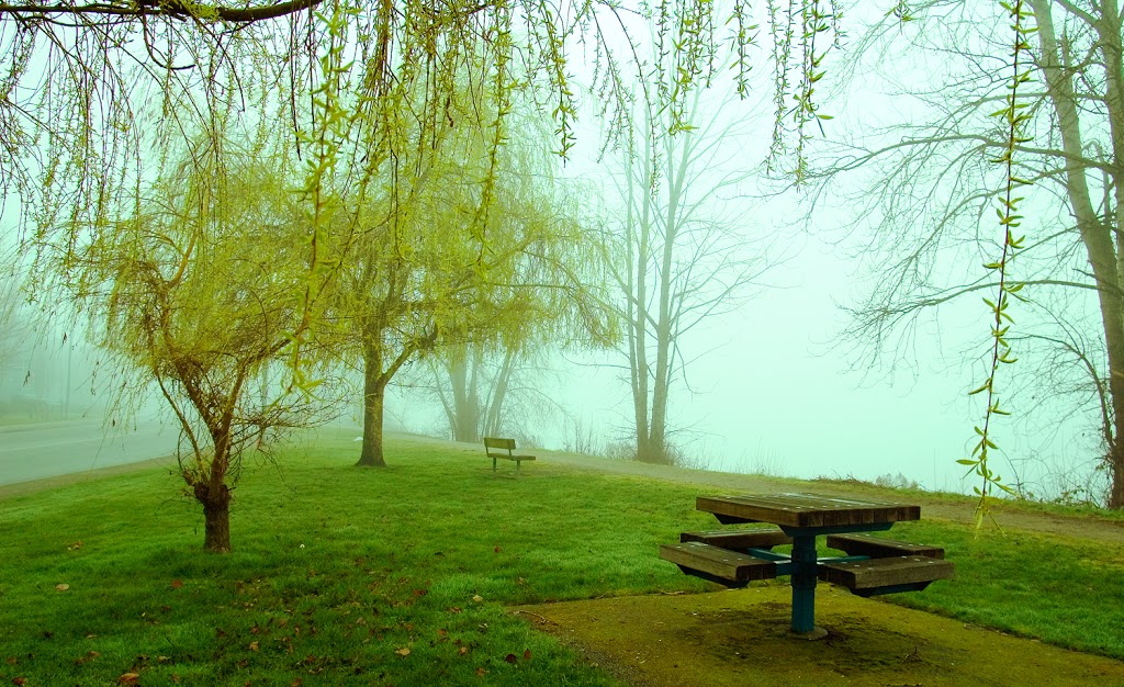 Fraserwood Park | 22020 Fraserwood Way, Richmond, BC V6W 1J6, Canada