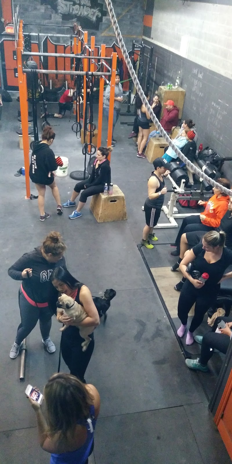 Crossfit Chateauguay | 2465 Boulevard Ford #202, Châteauguay, QC J6J 4Z2, Canada | Phone: (514) 656-5051