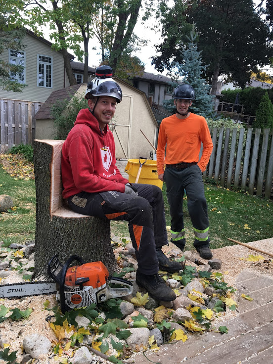 Capella Tree Service | 3 Avra Ct, Guelph, ON N1H 7B2, Canada | Phone: (519) 830-6634