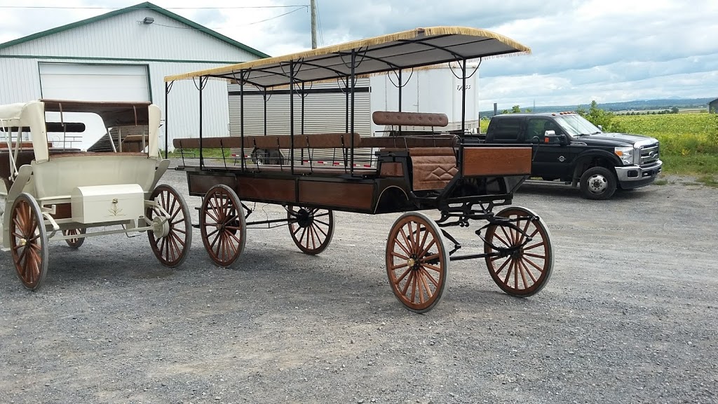 Voitures Robert Inc (Les) | 885 Haut Du Petit Rang St Fran, Saint-Pie, QC J0H 1W0, Canada | Phone: (450) 772-5221