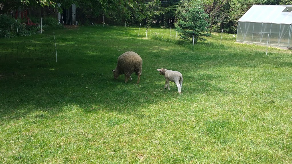 Edible Acres | 21083 Purple Hill Rd, Thorndale, ON N0M 2P0, Canada | Phone: (519) 520-0175