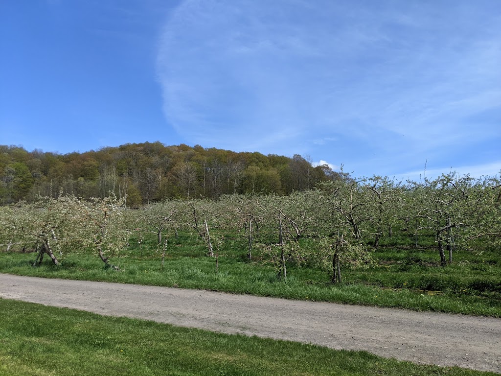 Jude-Pomme | 223 Rang Sainte-Sophie, Oka, QC J0N 1E0, Canada | Phone: (450) 479-6080