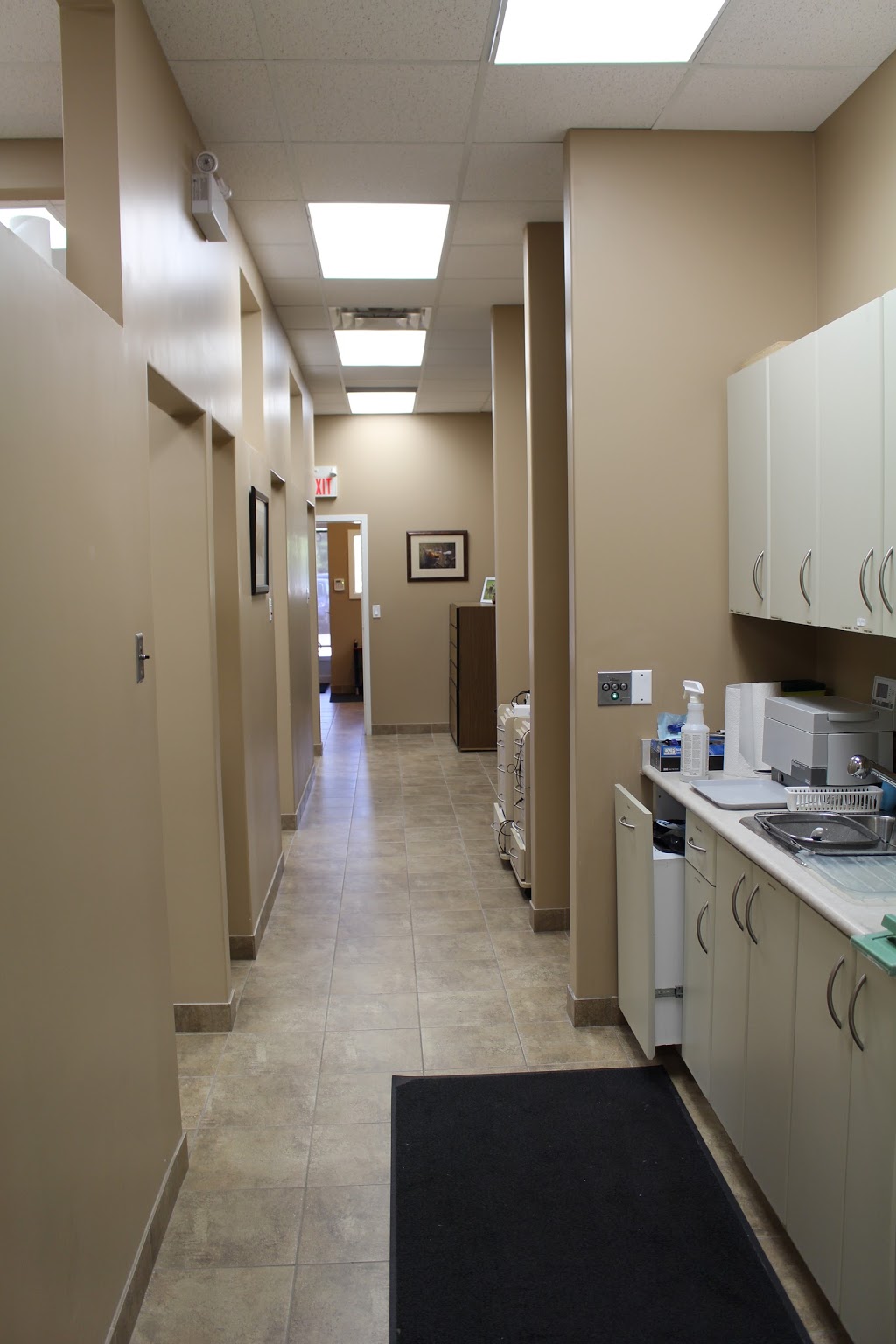 Dentistry Plus - Dentistry on Henry | 218 Henry St, Brantford, ON N3S 5C9, Canada | Phone: (519) 751-2533