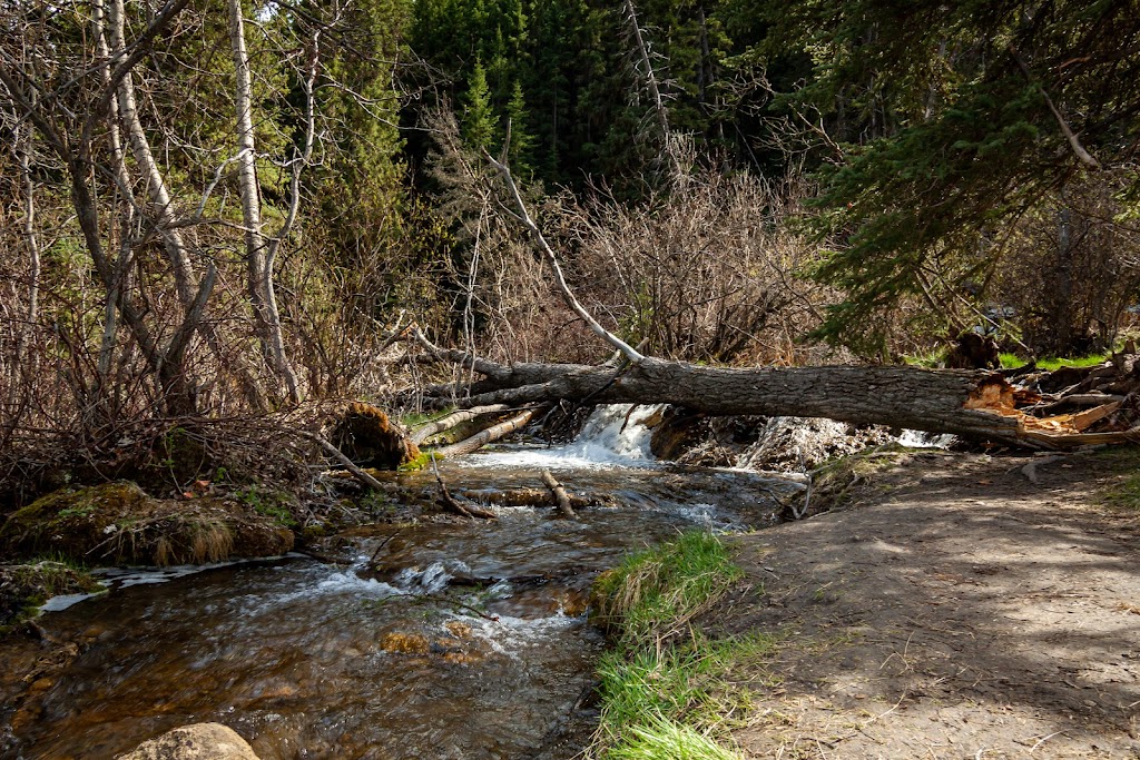 Monique Baker Photography | 5500 Somervale Ct SW, Calgary, AB T2Y 4L9, Canada | Phone: (403) 357-6620
