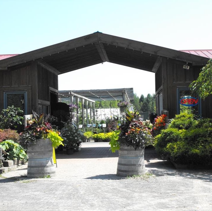 Pioneer Nursery | 632 Van Buren St, Kemptville, ON K0G 1J0, Canada | Phone: (613) 258-5555
