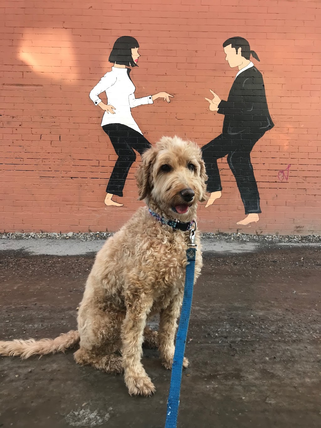 Dogs Of Valhalla | 3707 Kerrydale Rd SW, Calgary, AB T3E 4T3, Canada | Phone: (403) 619-4646