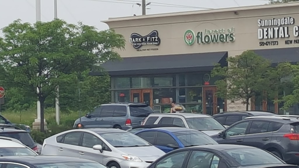 Forest of Flowers | 609 Fanshawe Park Rd W, London, ON N6G 5B3, Canada | Phone: (519) 471-5252