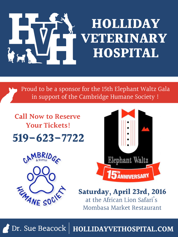 Holliday Veterinary Hospital | 77 Cedar St, Cambridge, ON N1S 1V6, Canada | Phone: (519) 621-0251