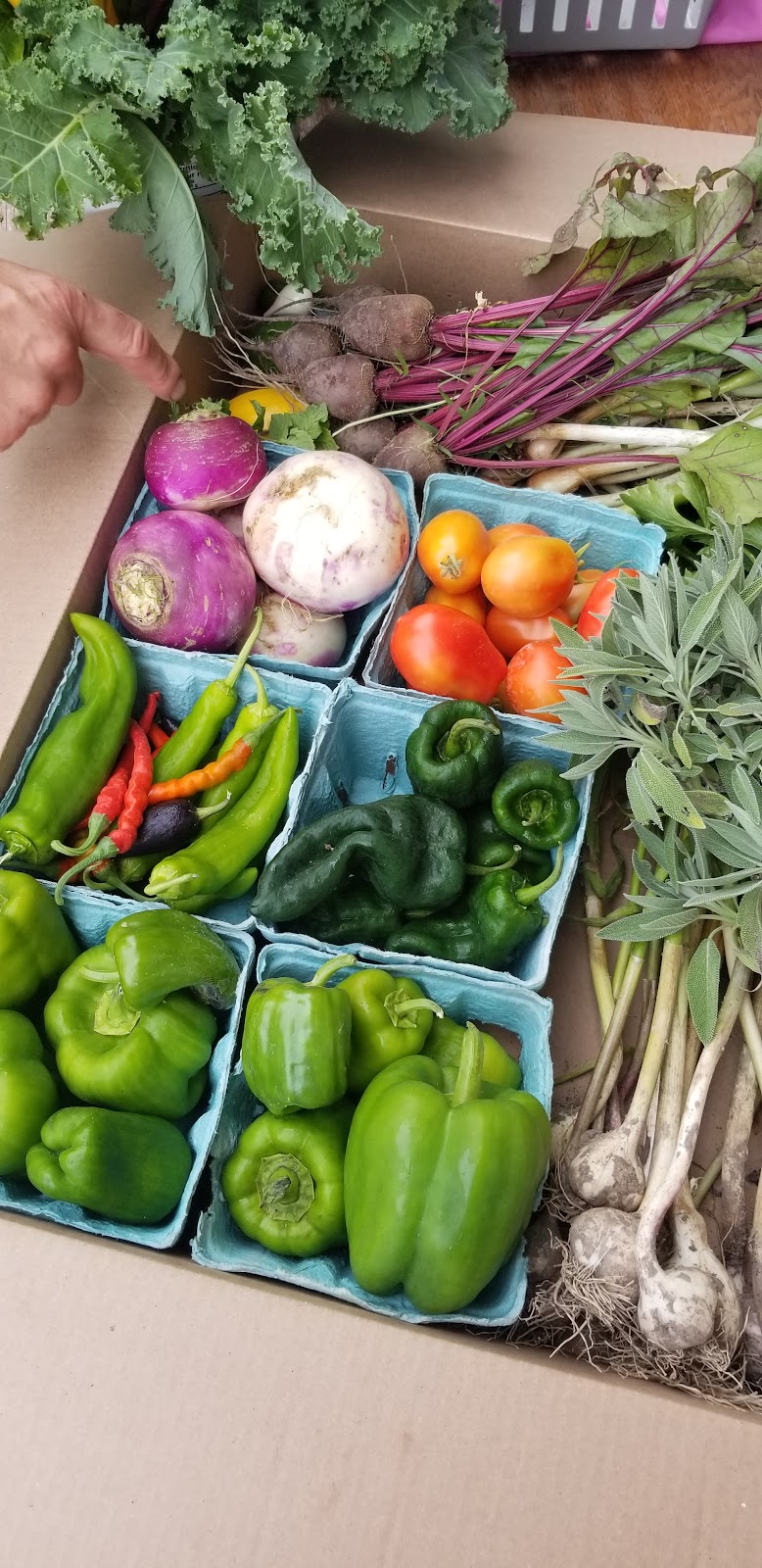 JOES HOME FARM and Greenhouses | 6866 Wellington 16, Belwood, ON N0B 1J0, Canada | Phone: (416) 562-4170