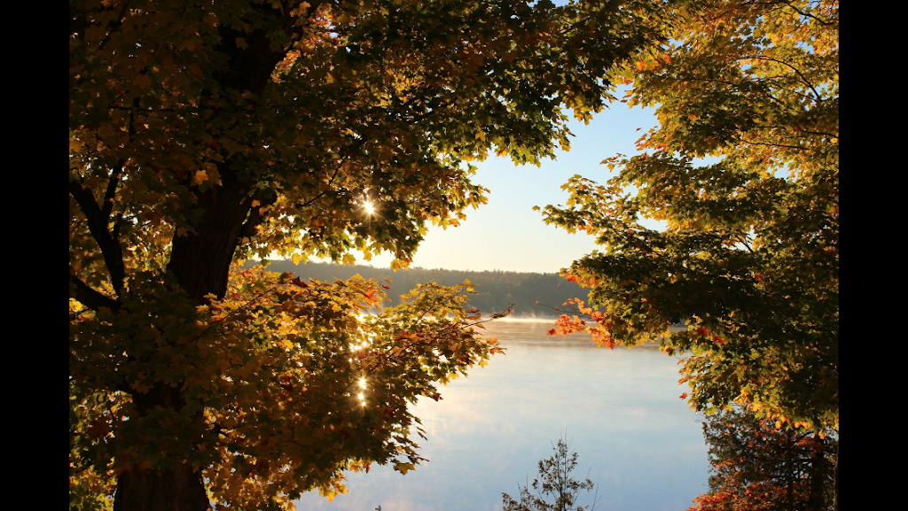 Sandy Lake Consulting Ltd | 70 Fire Rte 50, Buckhorn, ON K0L 1J0, Canada | Phone: (416) 670-4871