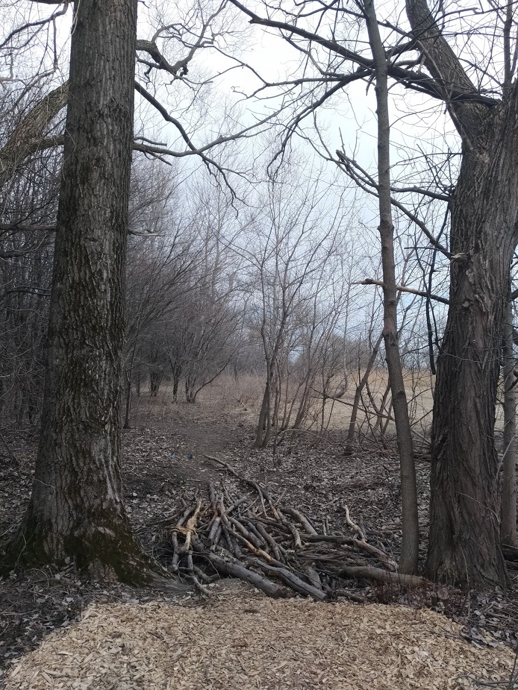 Arboretum Stephen-Langevin | Chemin de la Côte den Bas, Boucherville, QC J3V 6P4, Canada