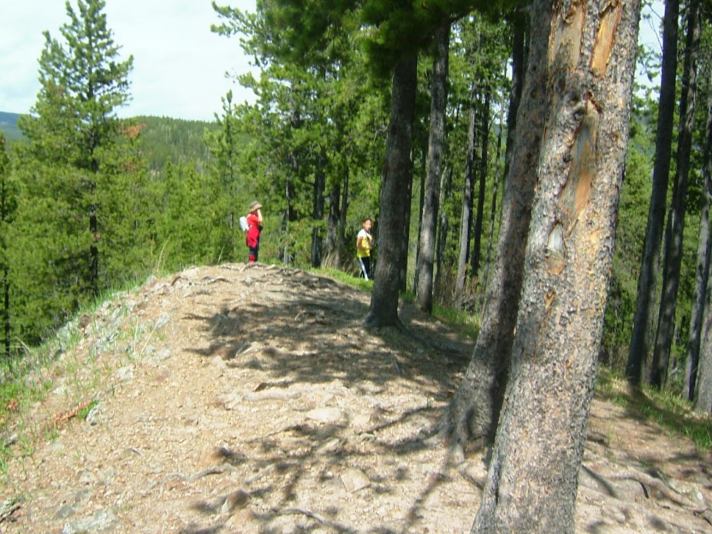 Diamond T Loop | Kananaskis, AB T0L 0K0, Canada