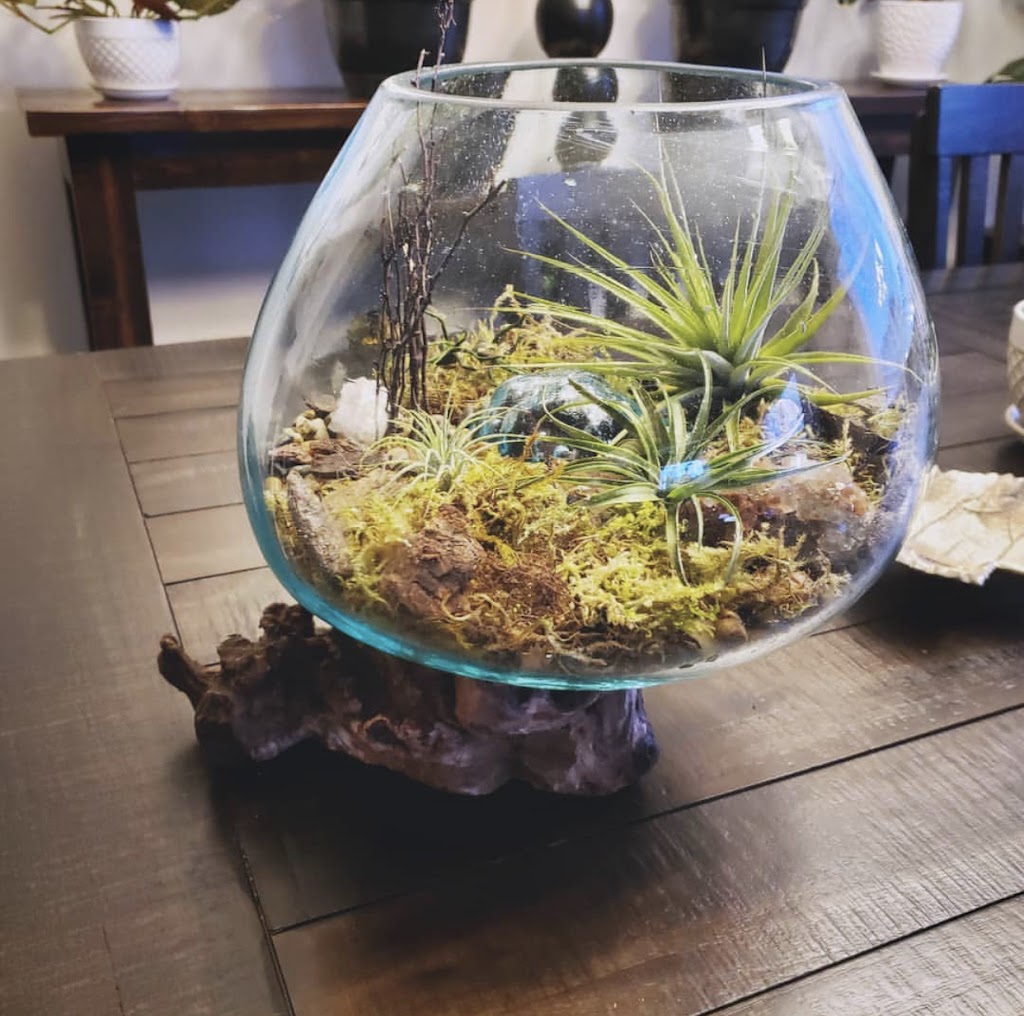 Enlightened Decor | 22048 Township Rd 522, Sherwood Park, AB T8E 1G2, Canada | Phone: (780) 901-1901