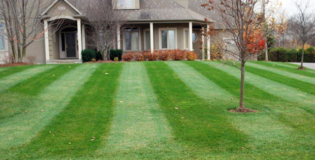 BJF Contracting - Lawn Care and Complete Property Maintenance | 408 Freelton Rd, Puslinch, ON N0B 2J0, Canada | Phone: (289) 259-1927
