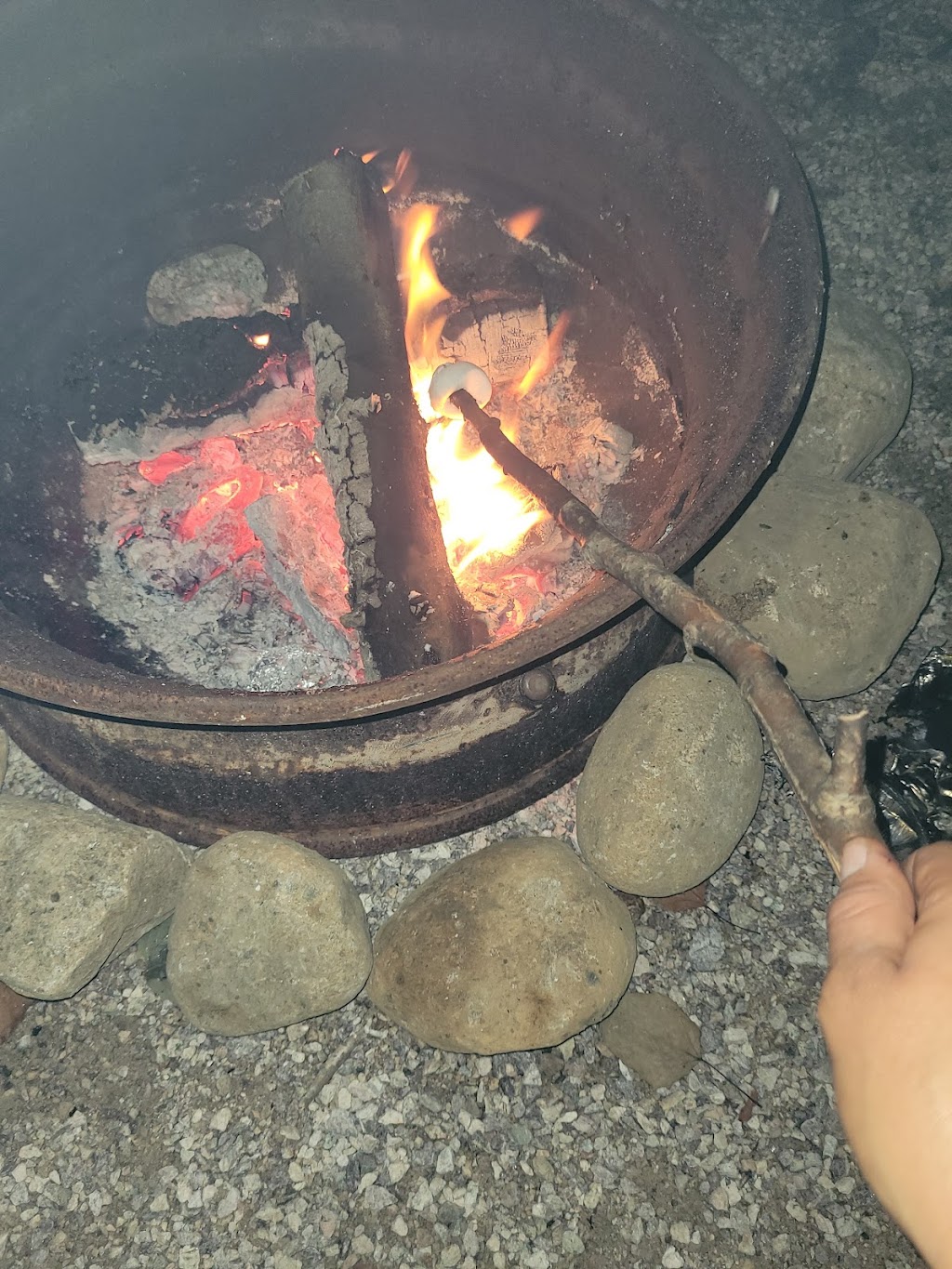 Camping Espace Air Pur | 55 Chem. des Pointes, Saint-Urbain, QC G0A 4K0, Canada | Phone: (418) 737-1437