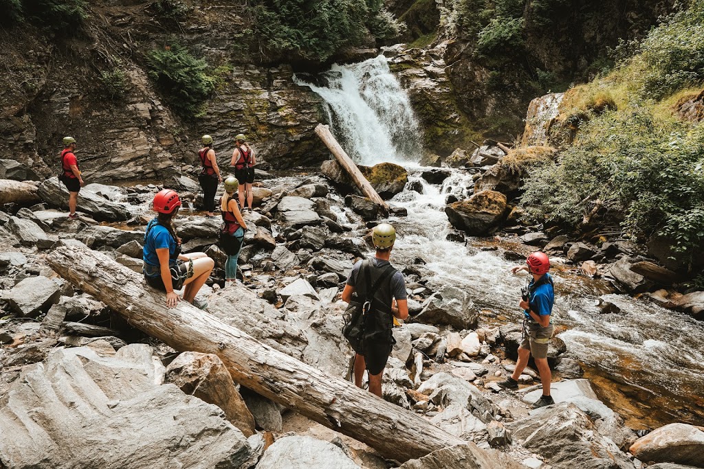 Treetop Flyers | 305 Brooke Dr, Chase, BC V0E 1M0, Canada | Phone: (866) 343-6761