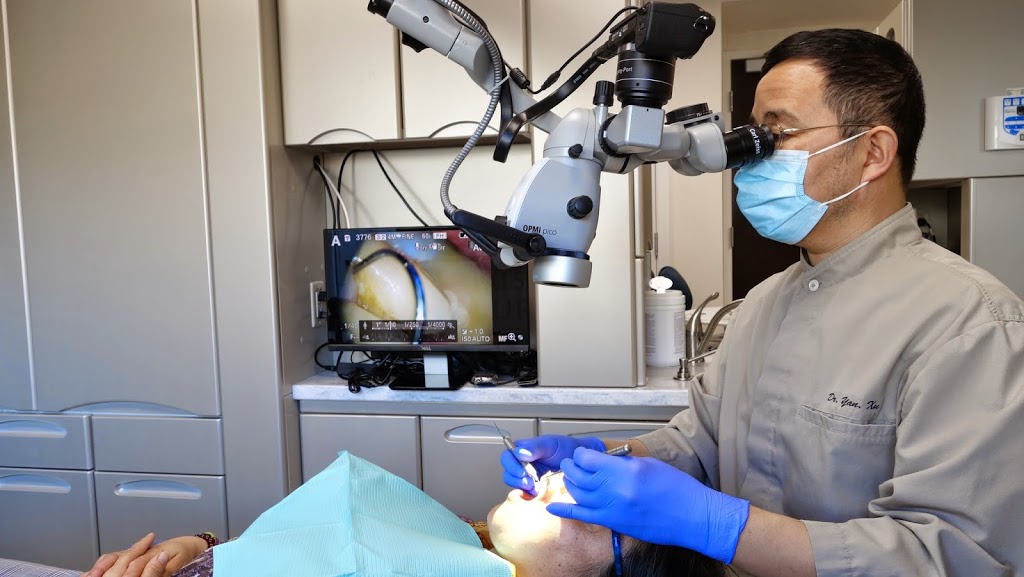 False Creek Pure Dental | 303 W 2nd Ave, Vancouver, BC V5Y 0B4, Canada | Phone: (604) 877-1712