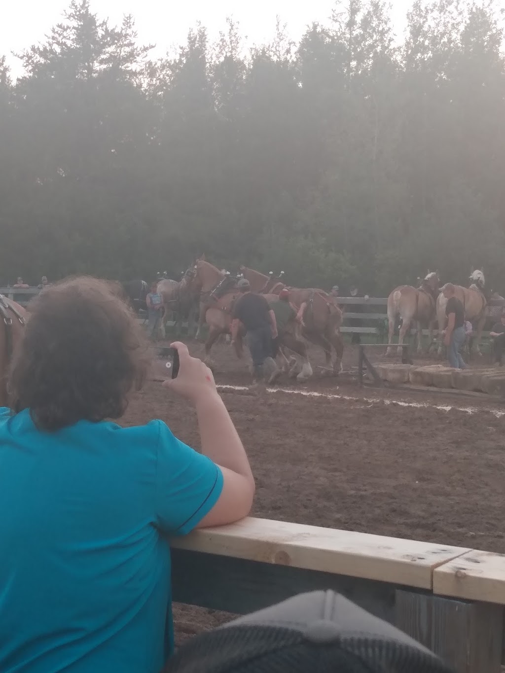 Petitcodiac Arena | 43 Corey Ave, Petitcodiac, NB E4Z 4G3, Canada | Phone: (506) 756-3126
