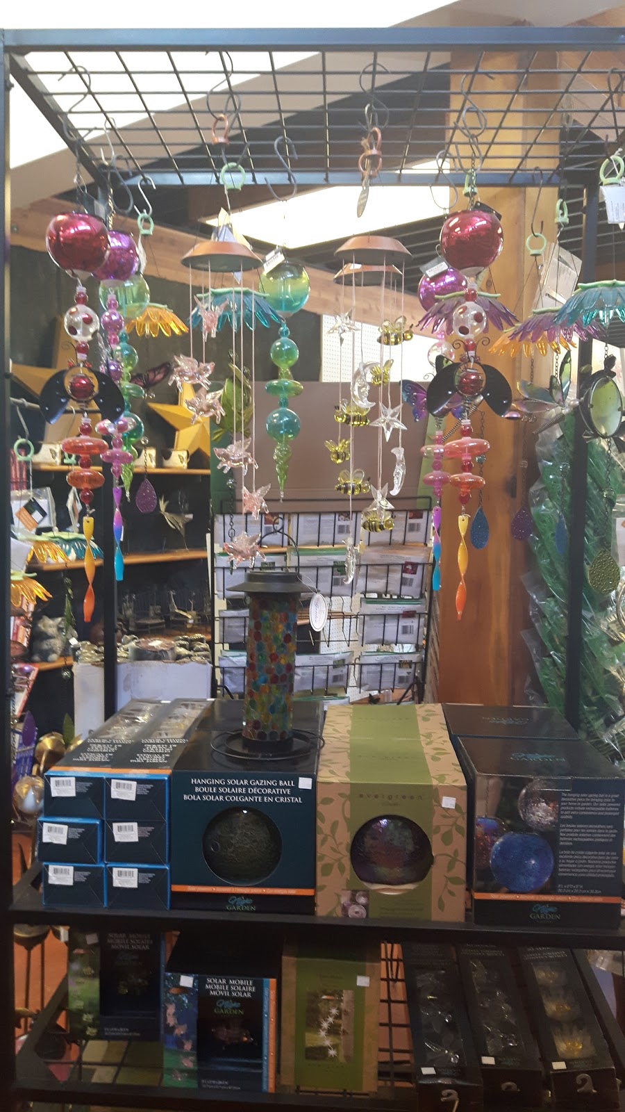 Pioneer Nursery | 632 Van Buren St, Kemptville, ON K0G 1J0, Canada | Phone: (613) 258-5555