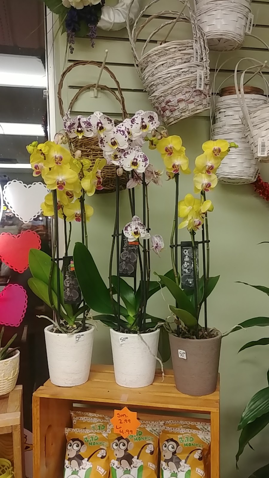 Grower Direct- Thunder Bay | 777 Red River Rd, Thunder Bay, ON P7B 1J7, Canada | Phone: (807) 475-7673