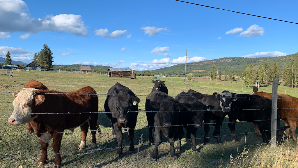 True Country Acres | 6629 Sidley Mountain Rd, Bridesville, BC V0H 1Y0, Canada | Phone: (250) 793-5450
